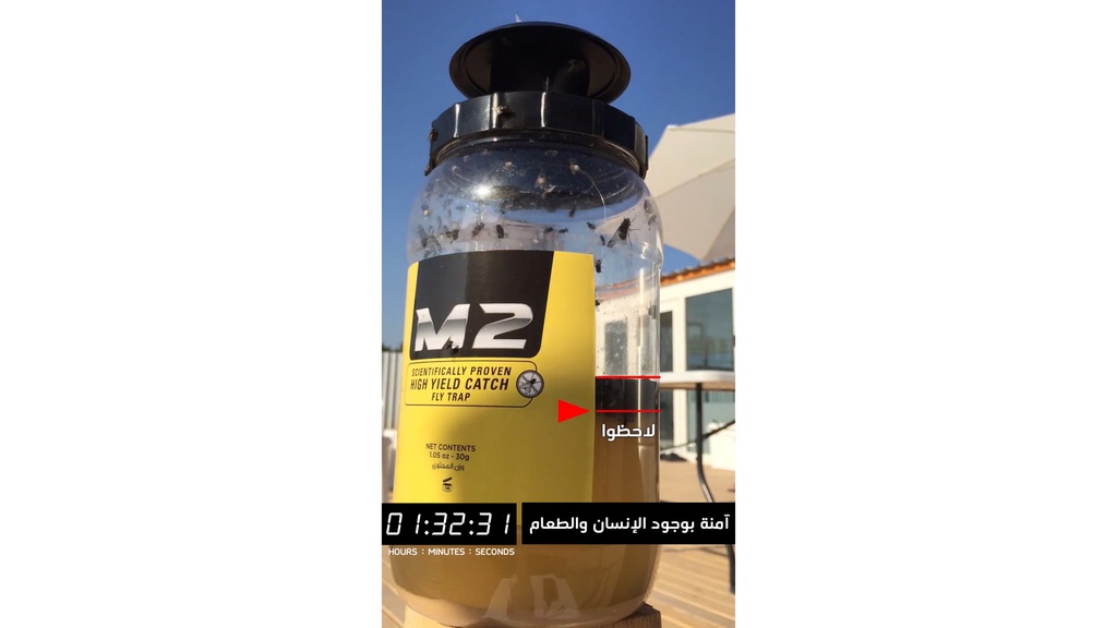 M2 - Fly Trap